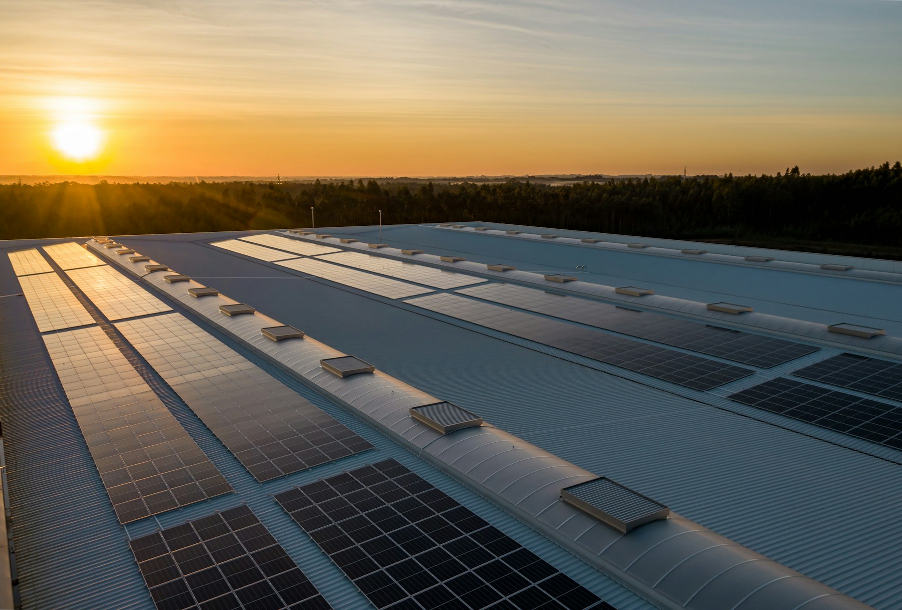 Solar panel array catching low evening light